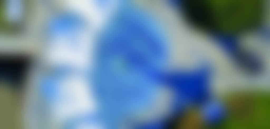 Drone Rainbow Waters Water Park 1607x2288