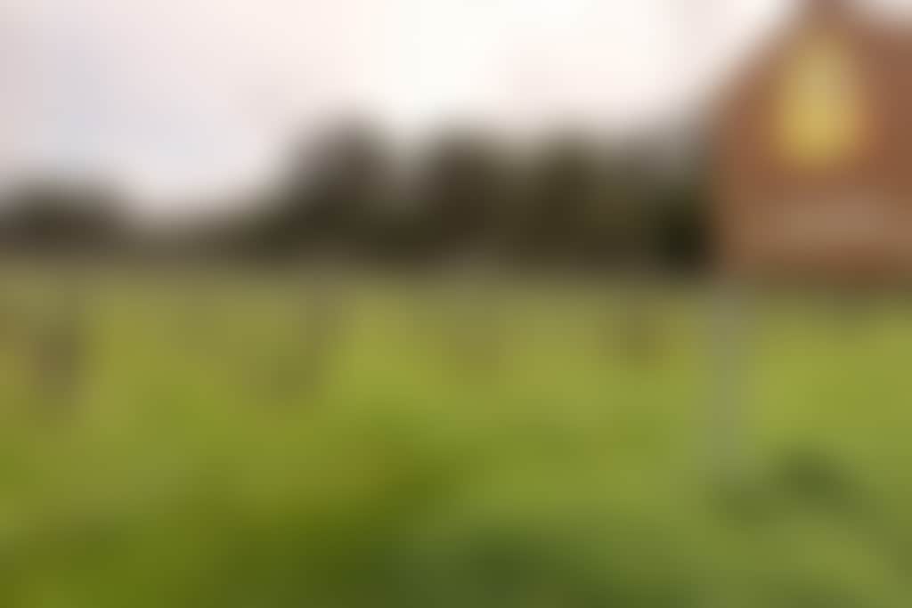 The Abbey and Heafod Glen Winery