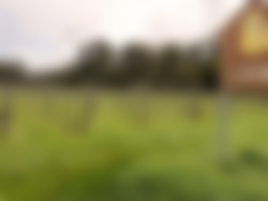 The Abbey and Heafod Glen Winery