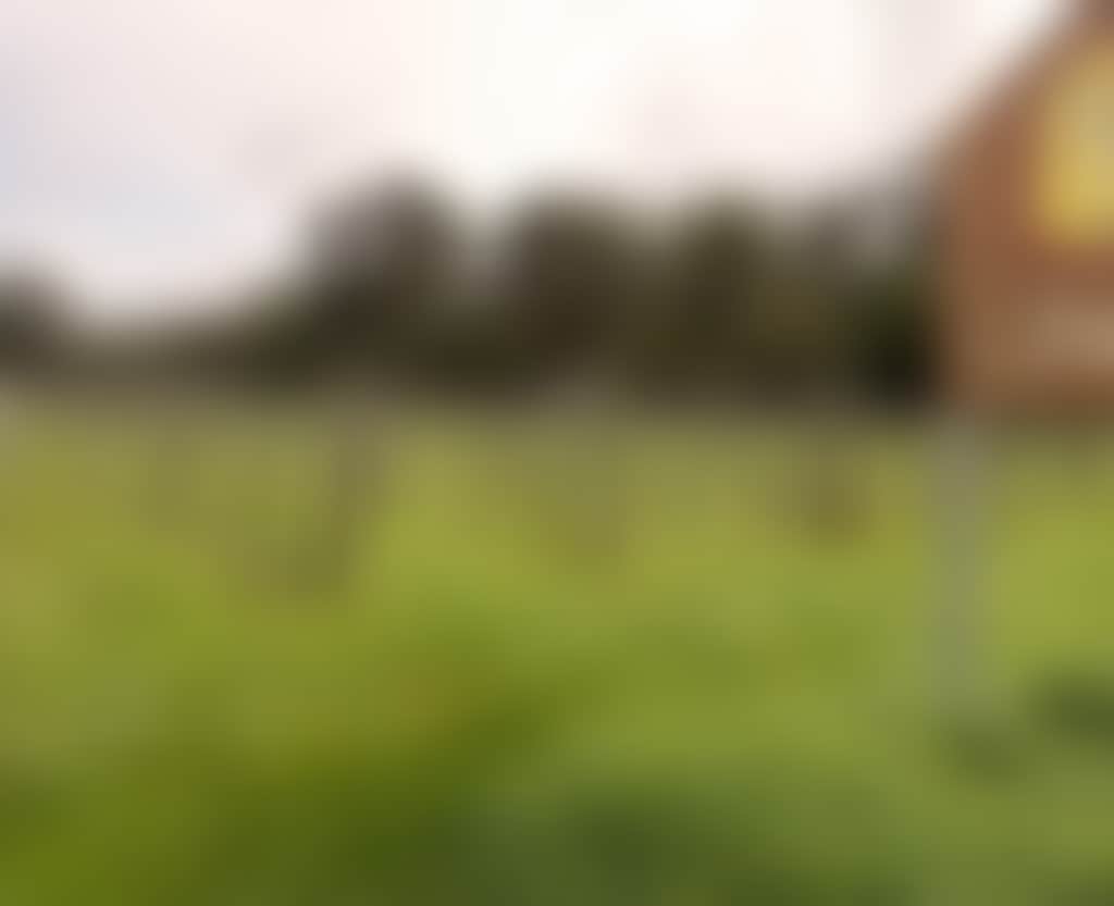 The Abbey and Heafod Glen Winery