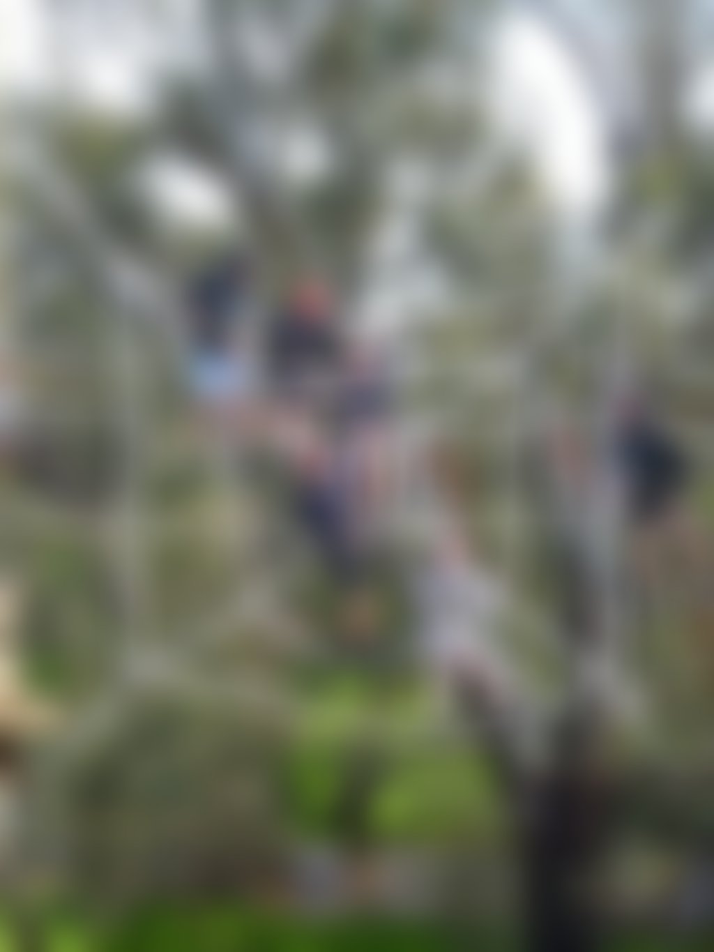 Swan valley adventure centre high net