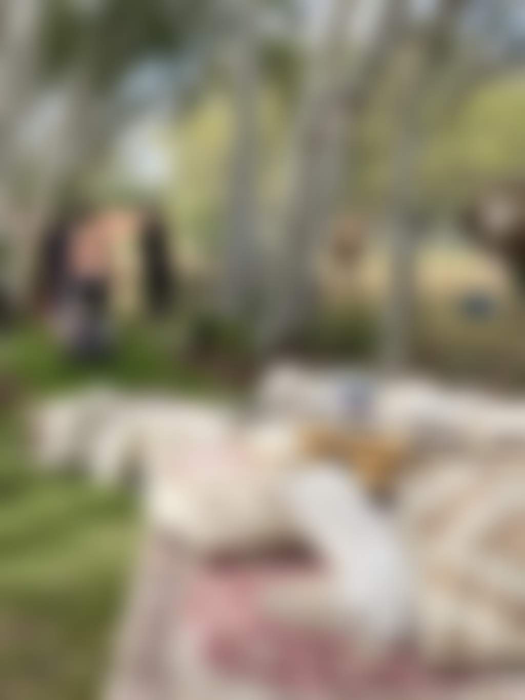 Swan Valley Speedhumps yoga