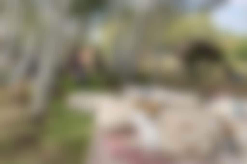 Swan Valley Speedhumps yoga