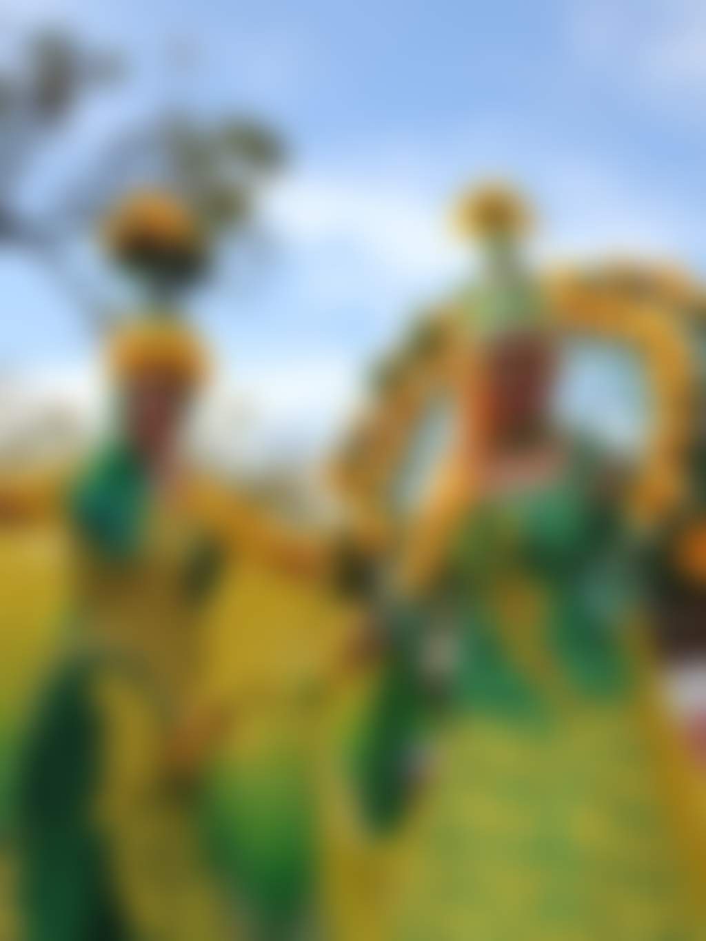 Gidgegannup Small Farm Field Day performers