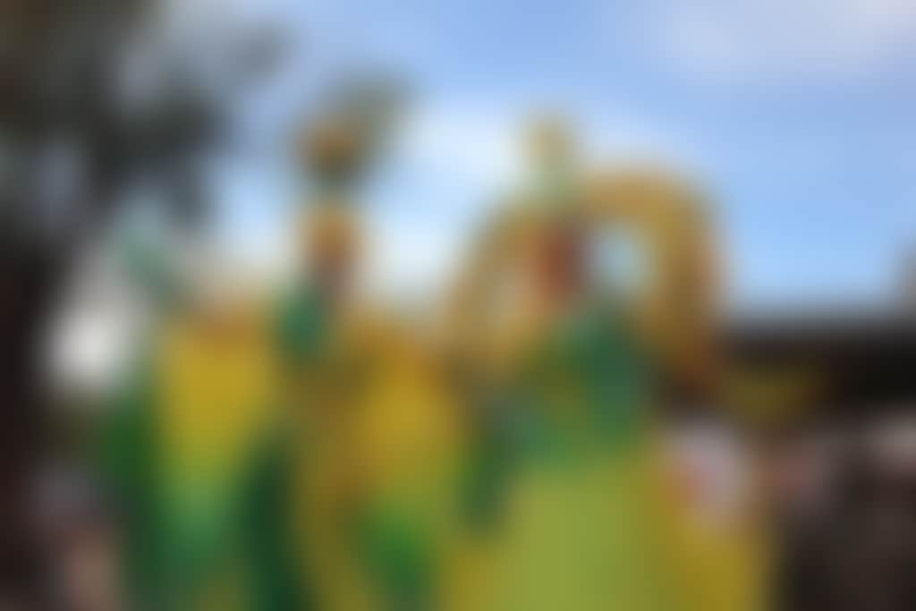 Gidgegannup Small Farm Field Day performers